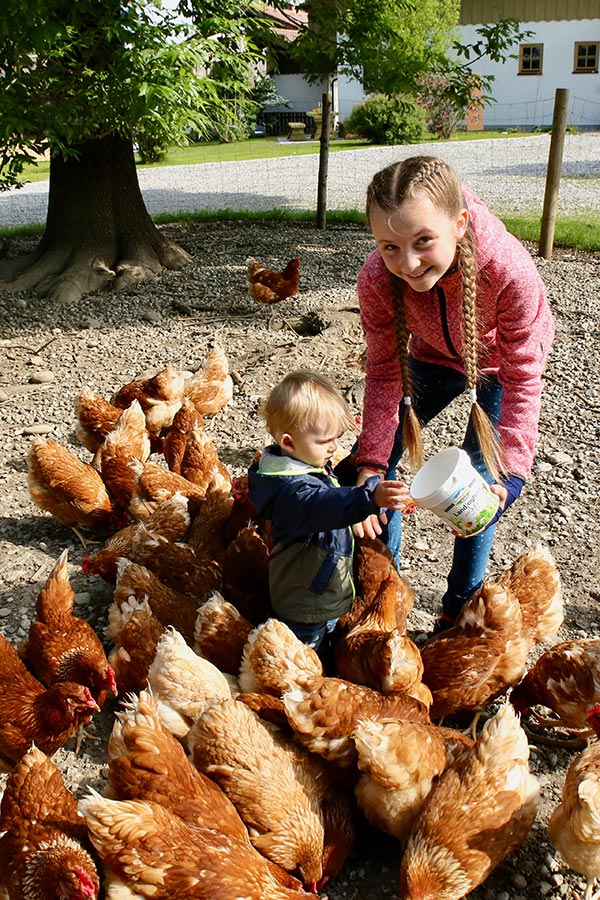Hühner füttern auf dem Bauernhof in Peißenberg